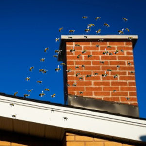 Keep bees out of the chimney