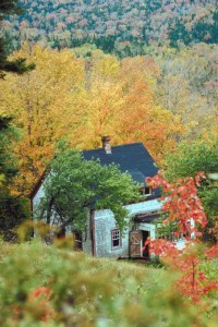 Check that your chimney cap is in good shape before winter comes