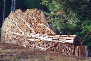 Firewood as Art