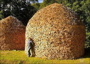 Firewood as Art