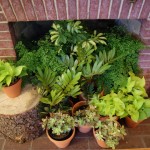 greenery in the fireplace