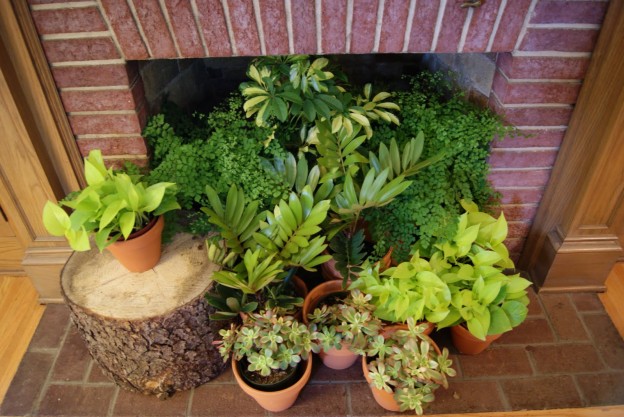 greenery in the fireplace