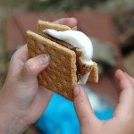 delicious smores recipe