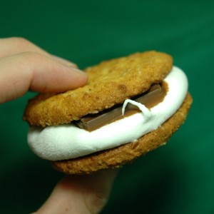 oatmeal cookie s'more