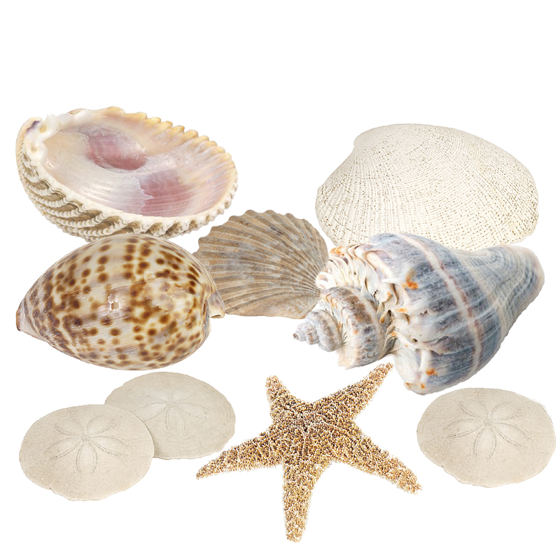 Seashell Garland - Fireplace Shell Garland - The Blog at FireplaceMall