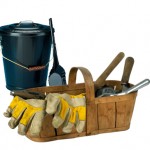 Garden Uses for Fireplace Ashes