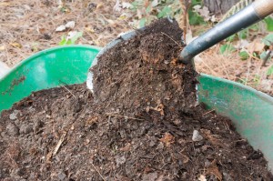Add Fireplace Ashes to Your Compost Pile