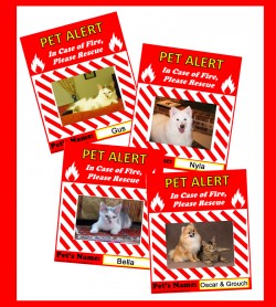 Download a Pet Alert to Save Your Pet's Life in Case of Fire