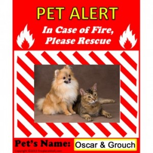Oscar-Grouch-Pet-Alert-SQ Window Pet Alert with Your Pet's Photo and Name