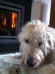 Tilly gives her approval to this First Fire of the Season in a fireplace just 20 minutes from Stonehenge in the UK.