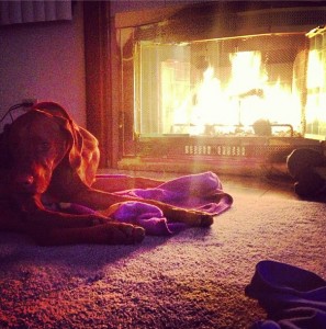 Tucker Enjoys the First Fire of the Season...And Every Fire of the Season