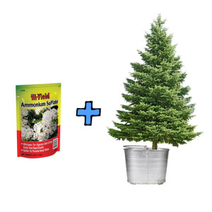 Make your Christmas tree fire retardant.