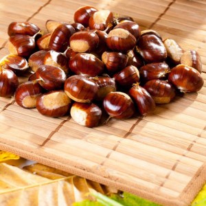 Selecting Chestnuts to Roast in the Fireplace