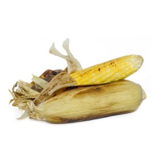 Hot to roast corn in fire pit or fireplace in husks