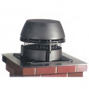 Enervex Chimney Can