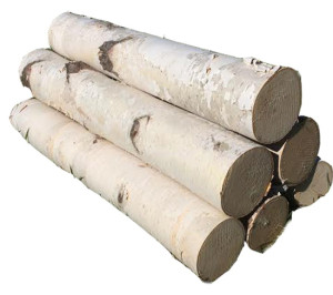 decorate with real birch logs