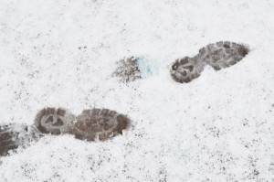 fireplace ashes melt snow and provide traction