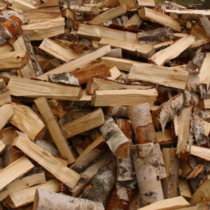 More Wood, a firewood song