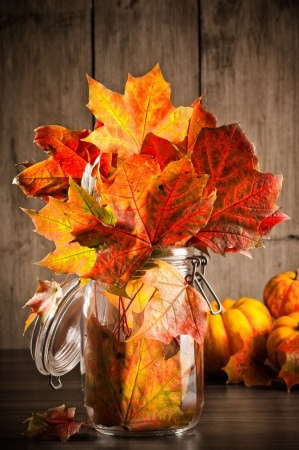 Fall Nature in Glassware