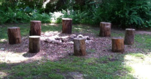 fire pit log seats - stumps in fire circle