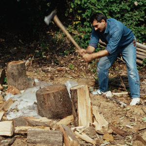 Firewood fact or myth