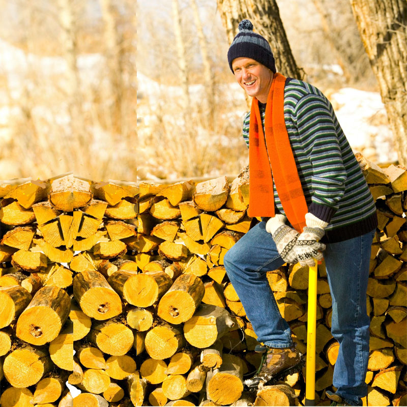 title-firewood-myths Firewood Fact or Myth