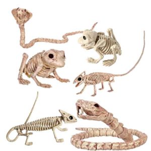 skeletons of snakes, lizards, toads, frogs, and geckos